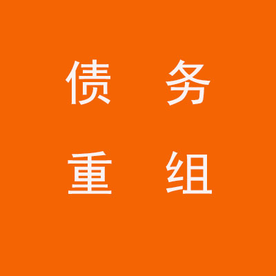 东西湖个人债务重组优化